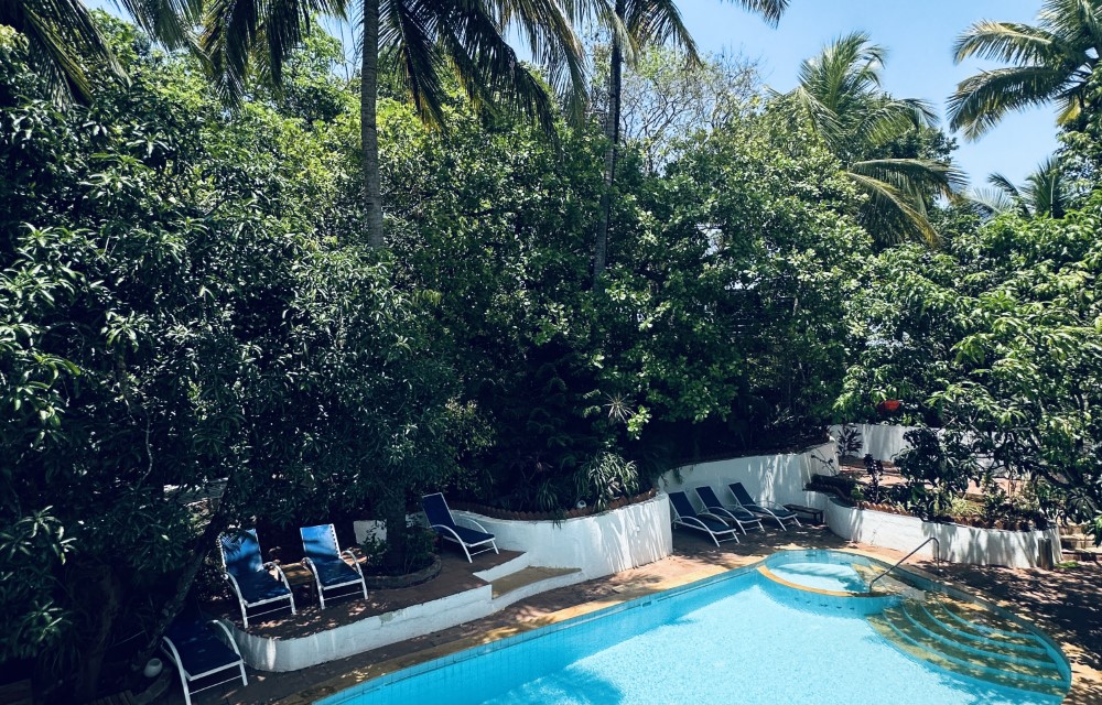 Oceanic Luxury Boutique Hotel